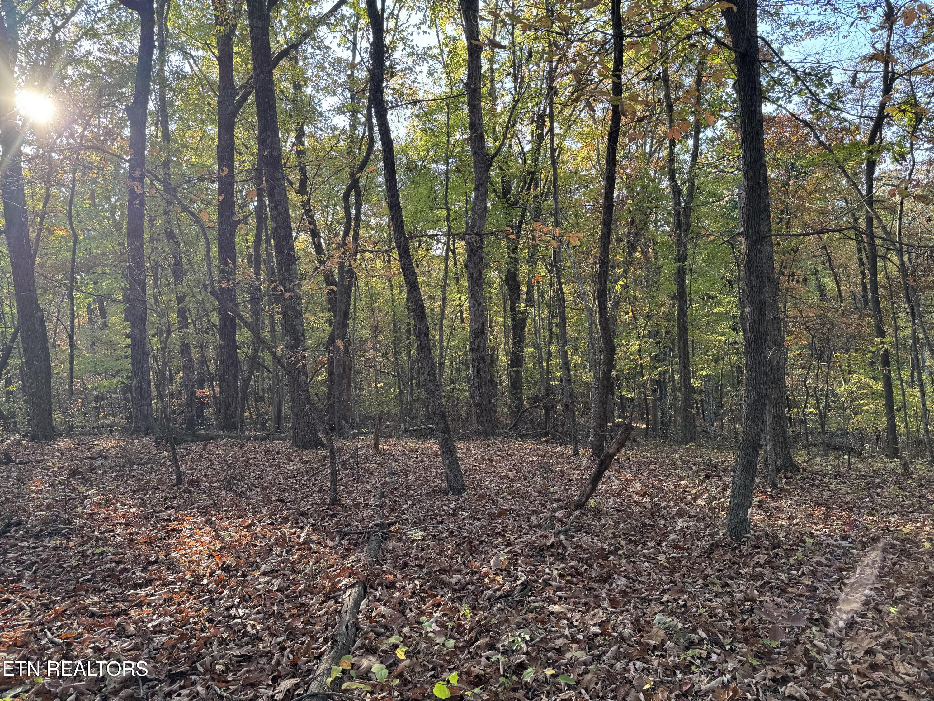 West Laurel Way Monterey, TN 38574 - Photo 2 of 5 IMG_0838
