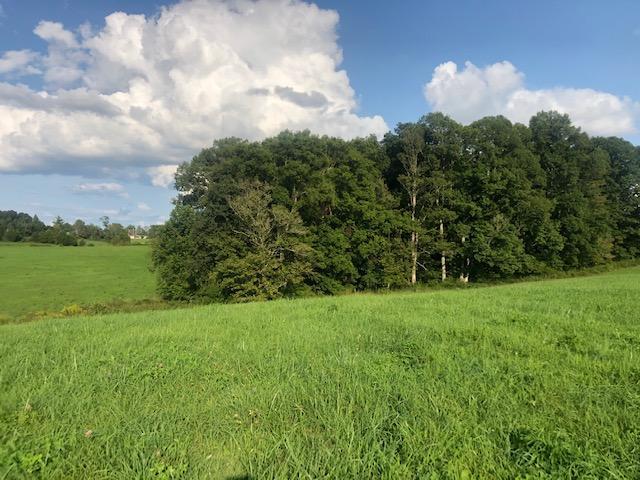 375 Floyd Road Eubank, KY 42567 - Photo 14 of 16 IMG_4260