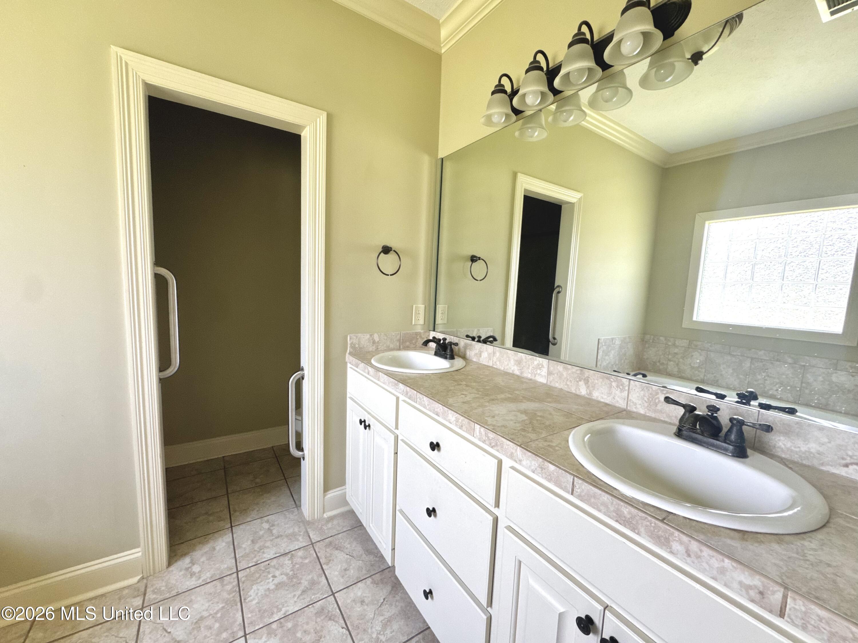809 Windlass Cove Brandon, MS 39047 - Photo 15 of 23 master bath