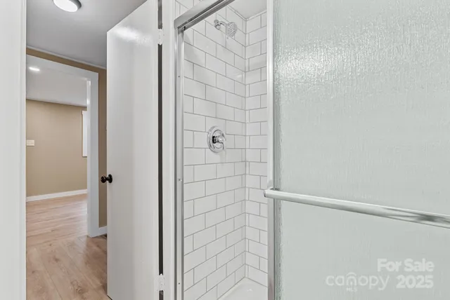 a view of a yard with plants and large trees