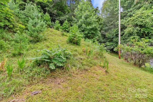 a view of a lush green space