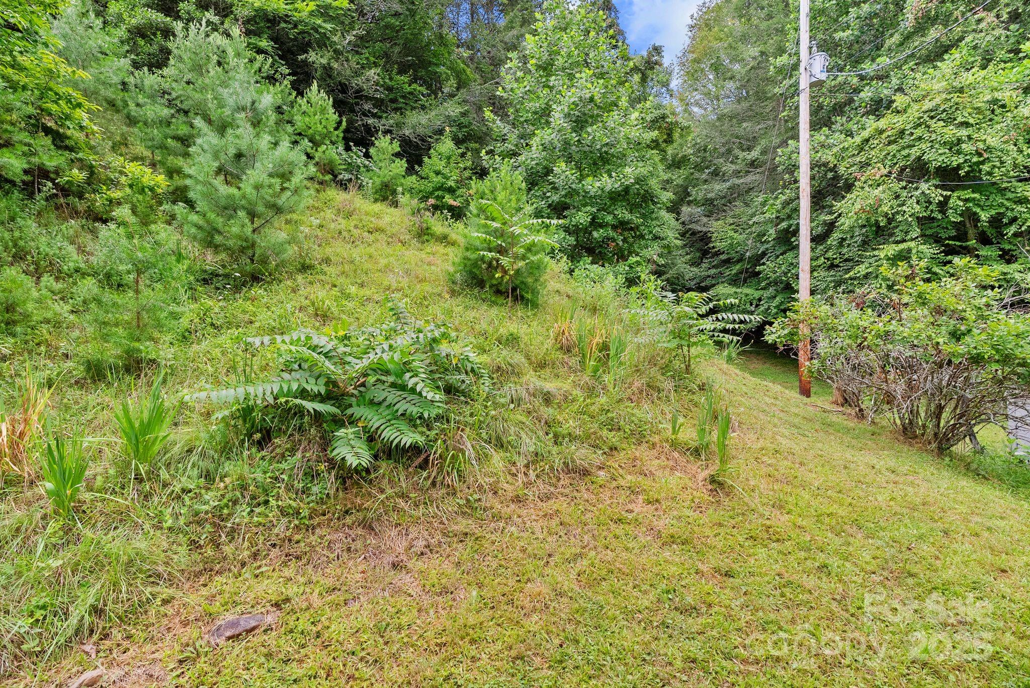 530 Rebel Ridge Road Marshall, NC 28753 - Photo 30 of 46 a view of a yard with plants and large trees