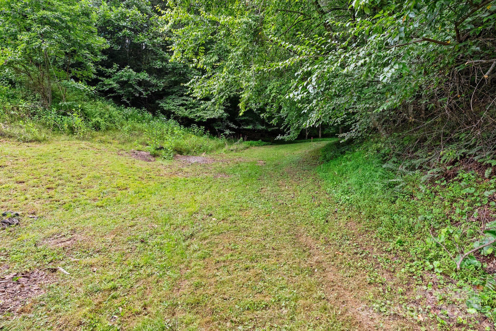 530 Rebel Ridge Road Marshall, NC 28753 - Photo 31 of 46 a view of yard with green space