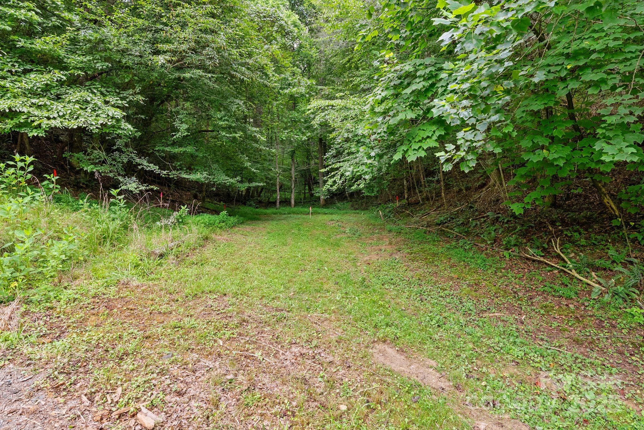 530 Rebel Ridge Road Marshall, NC 28753 - Photo 32 of 46 a view of a lush green space