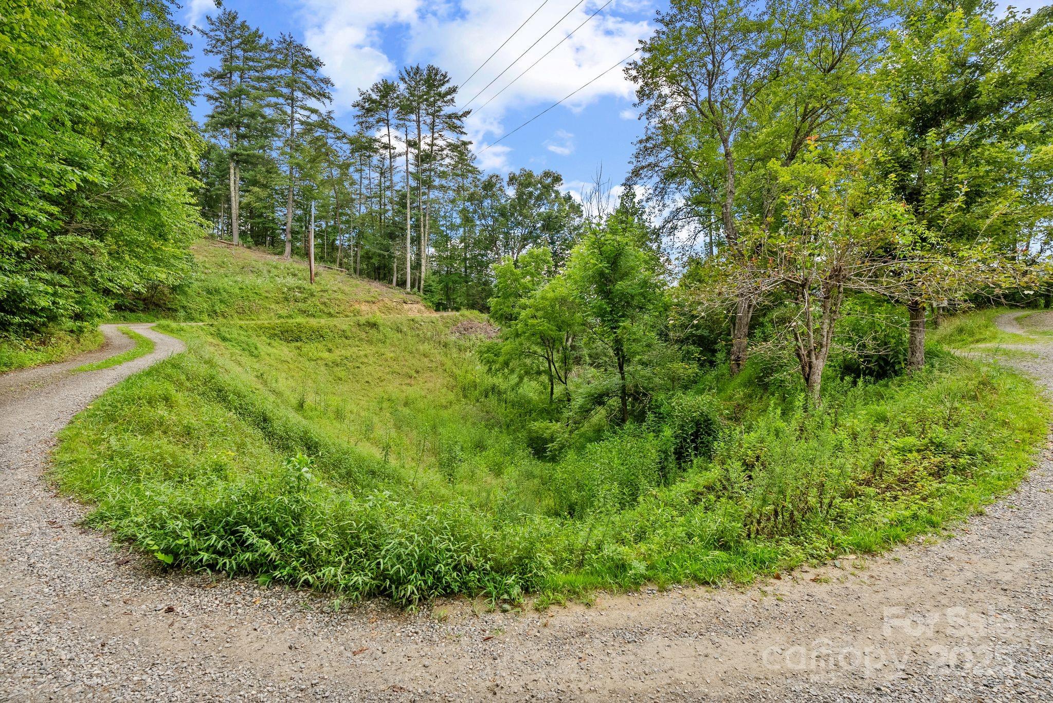 530 Rebel Ridge Road Marshall, NC 28753 - Photo 34 of 46 a view of a garden