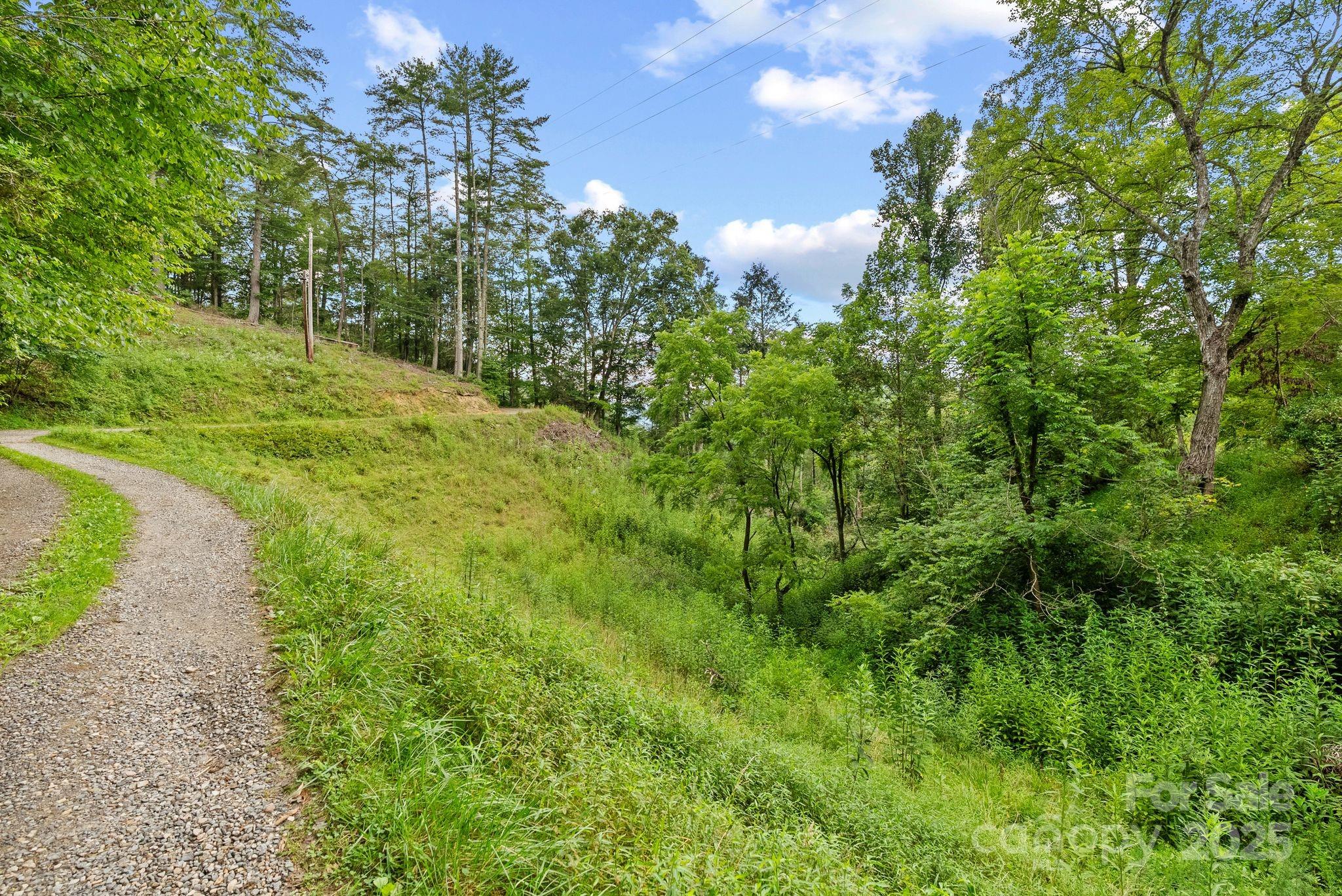 530 Rebel Ridge Road Marshall, NC 28753 - Photo 35 of 46 a view of a yard with plants and a trees