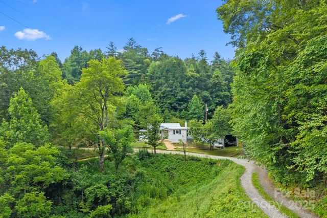 a view of a lush green forest with trees and some houses