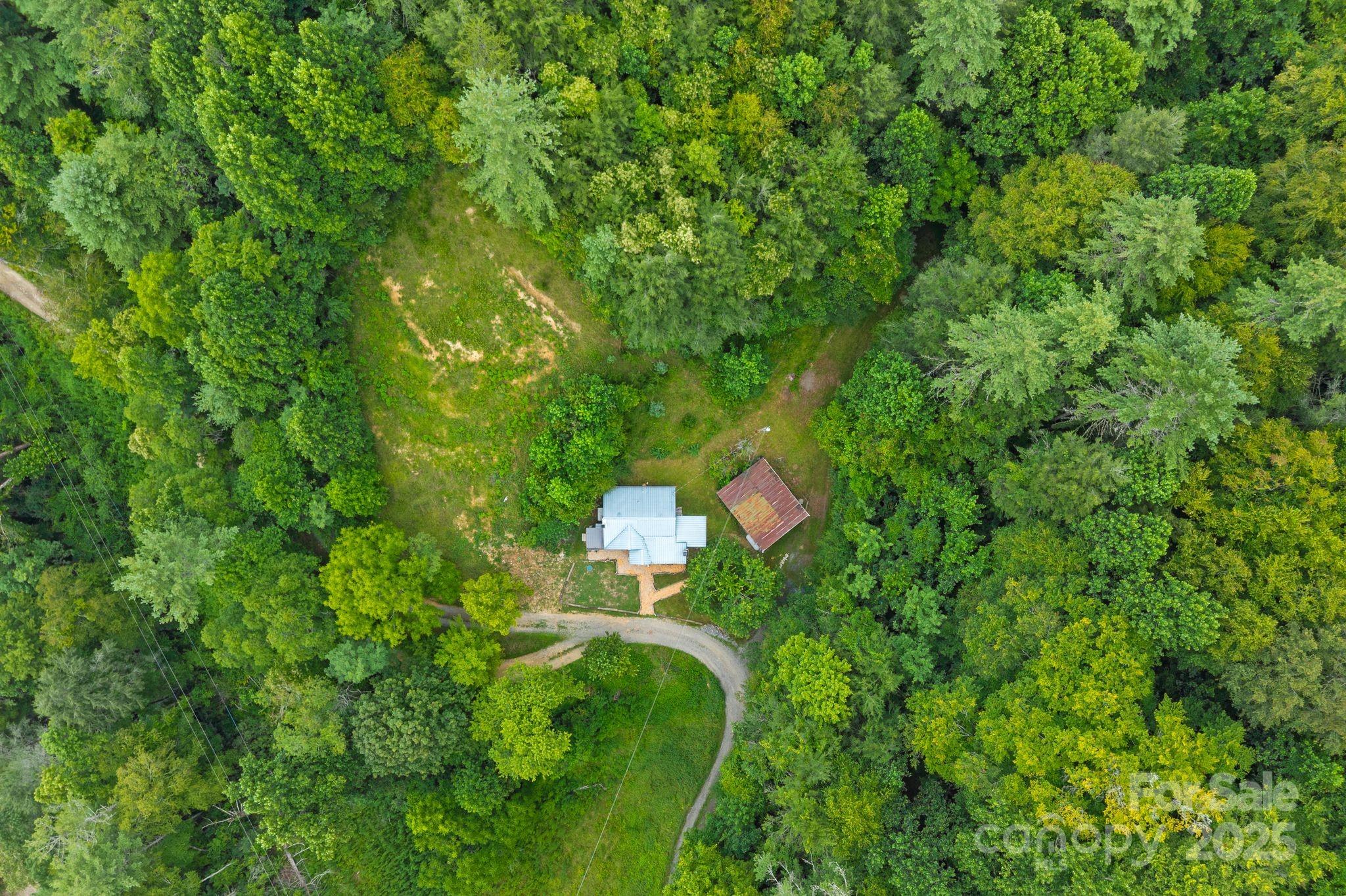 530 Rebel Ridge Road Marshall, NC 28753 - Photo 38 of 46 a backyard of a house with a stove and garden view