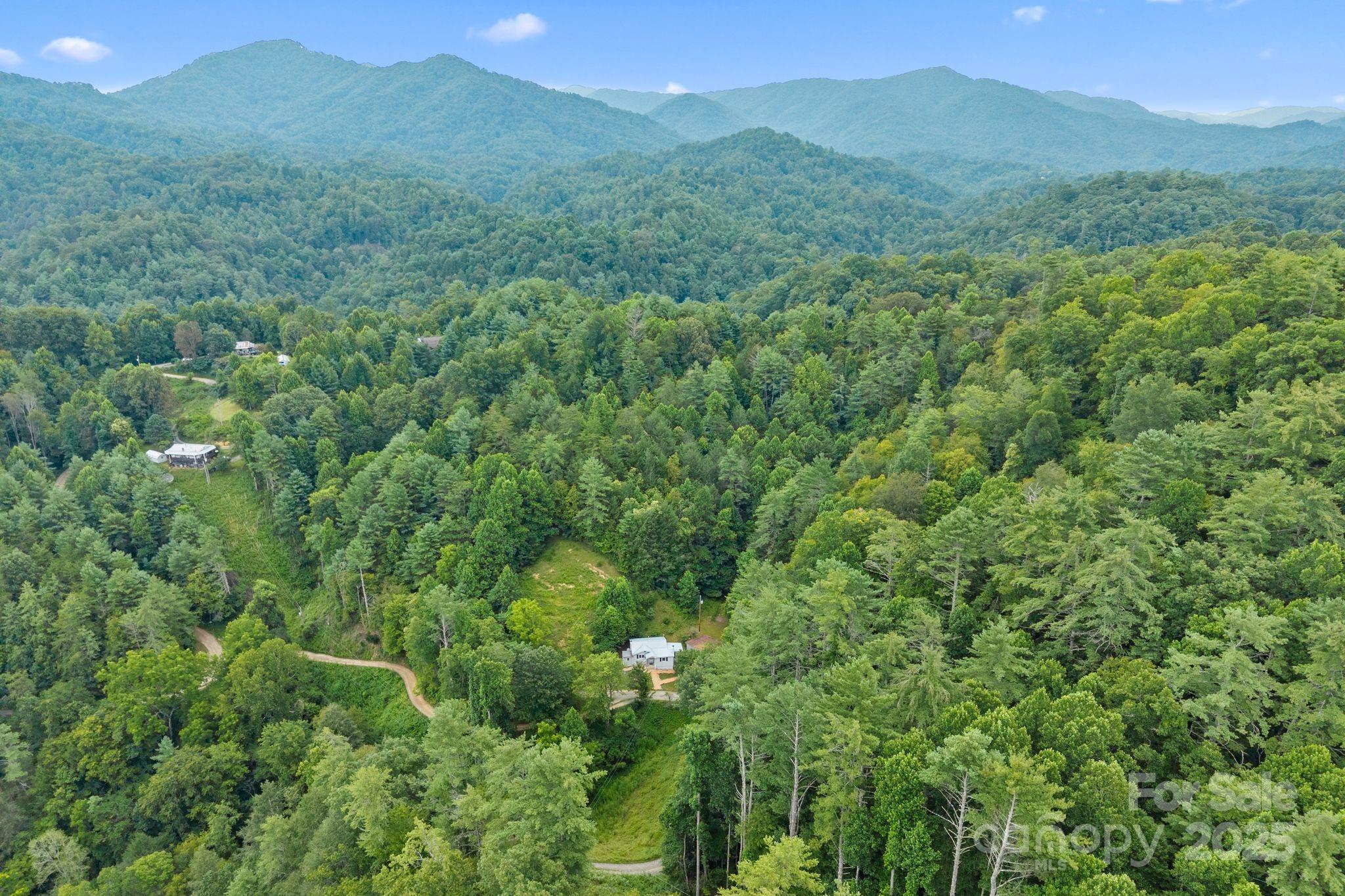 530 Rebel Ridge Road Marshall, NC 28753 - Photo 40 of 46 a view of a lush green forest with lush green forest
