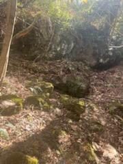 530 Rebel Ridge Road Marshall, NC 28753 - Photo 42 of 46