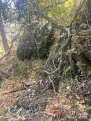 530 Rebel Ridge Road Marshall, NC 28753 - Photo 43 of 46