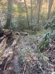 530 Rebel Ridge Road Marshall, NC 28753 - Photo 44 of 46