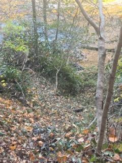 530 Rebel Ridge Road Marshall, NC 28753 - Photo 45 of 46