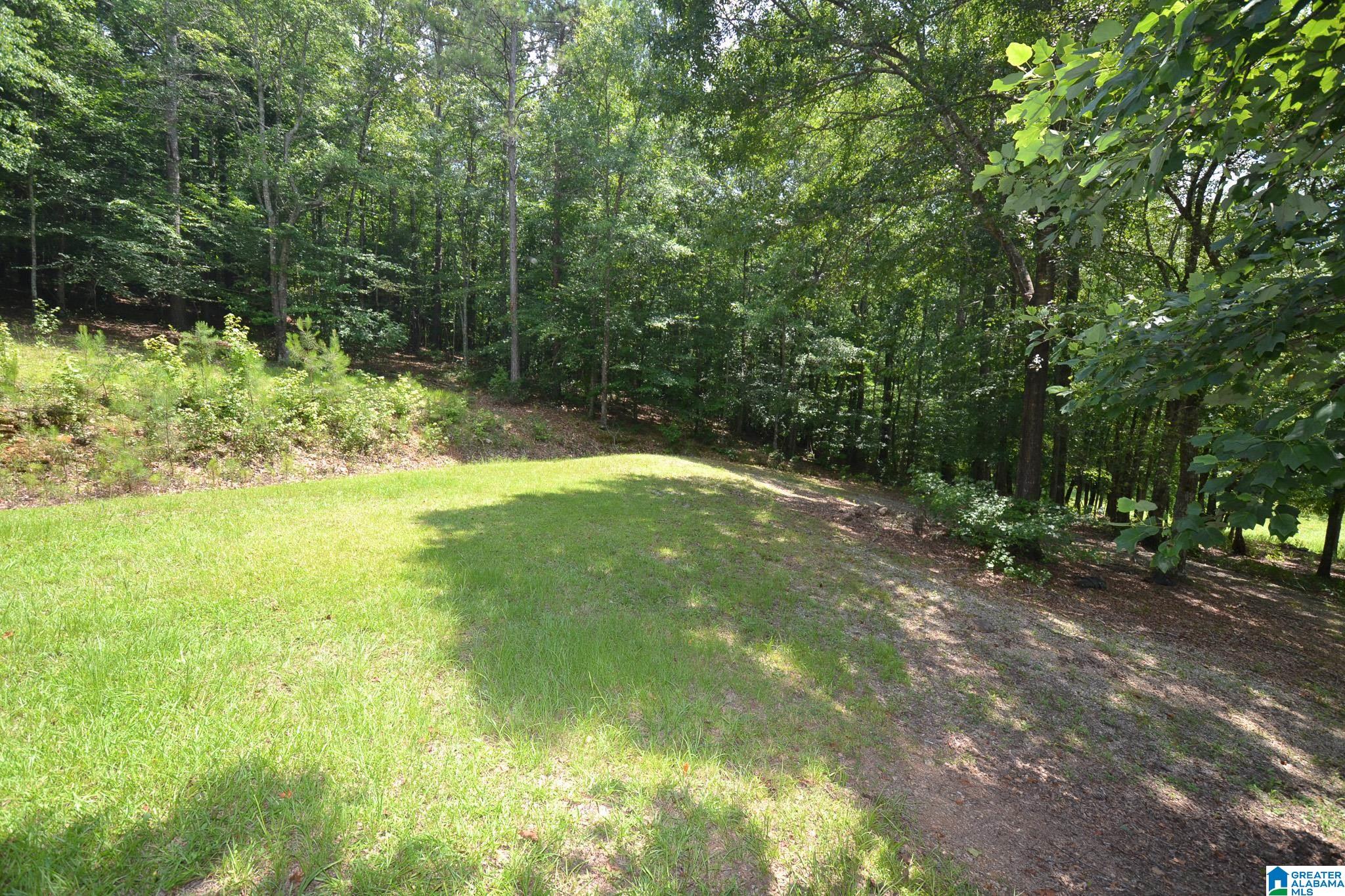 1540 Pepper Road, Unit 49 / ACRES Ashland, AL 36251 - Photo 4 of 31