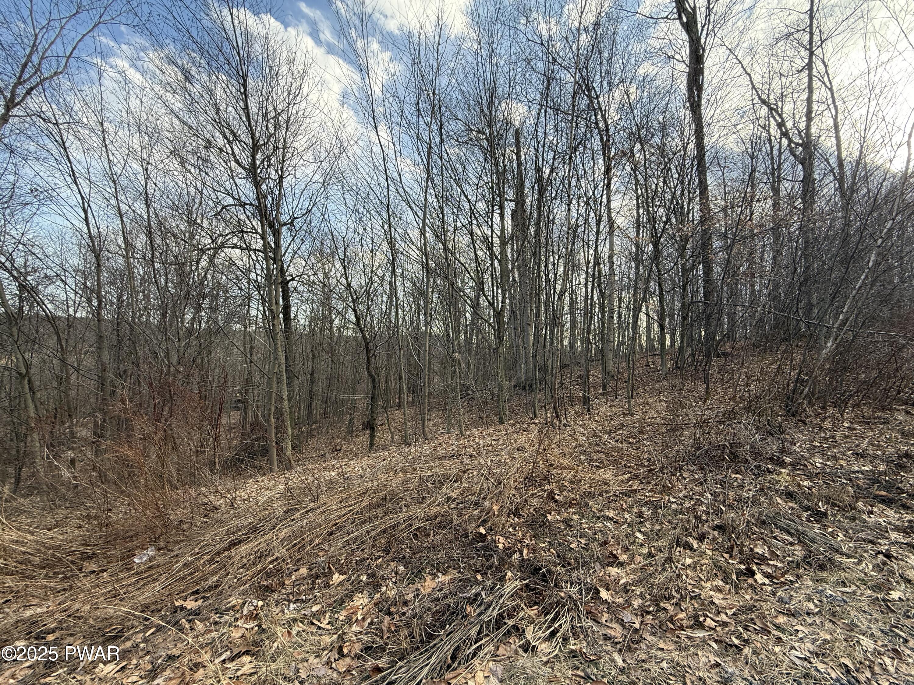 81 Summit Woods Road Moscow, PA 18444 - Photo 3 of 5