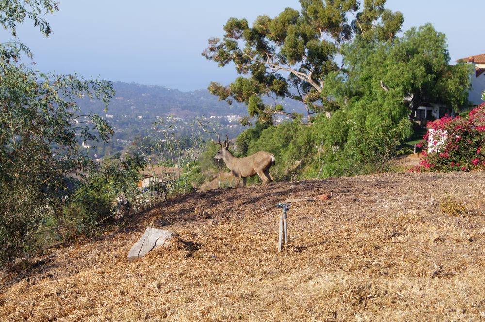 2685 Memory Lane Santa Barbara, CA 93105 - Photo 4 of 11 1