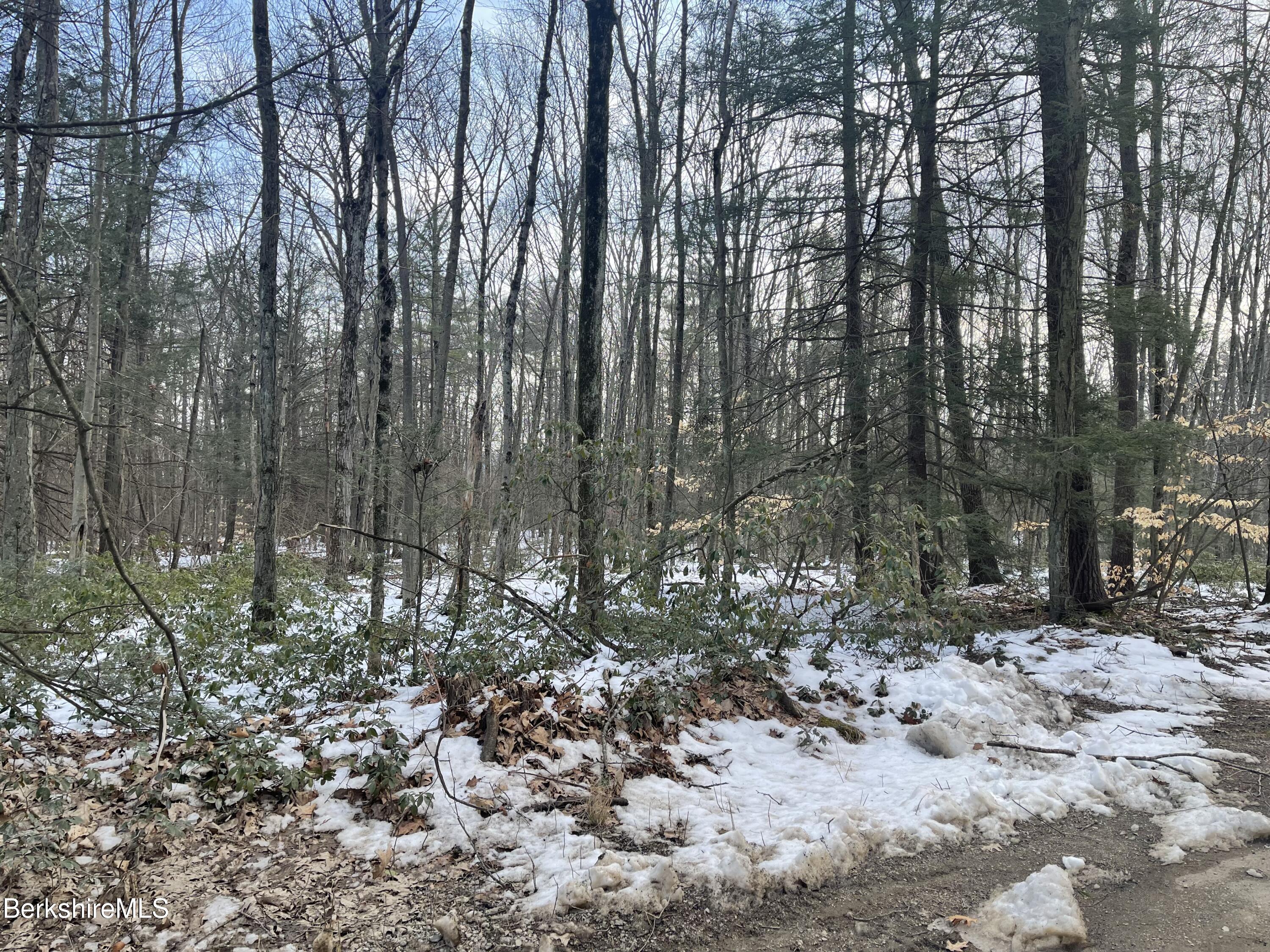 0 River Road Deerfield, MA 01342 - Photo 3 of 10 IMG-1626