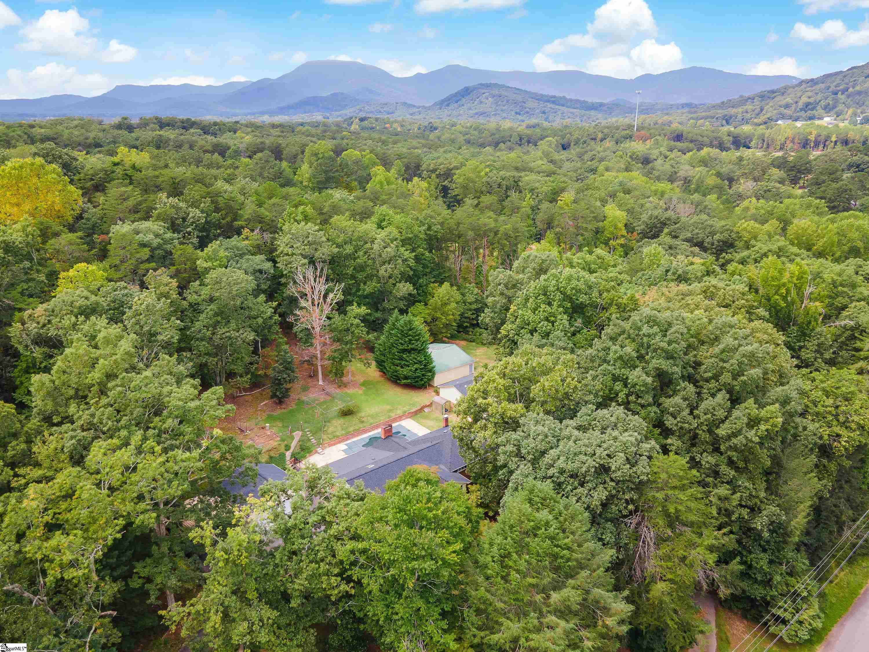 101 State Rd S-42-3274 Landrum, SC 29356 - Photo 31 of 33