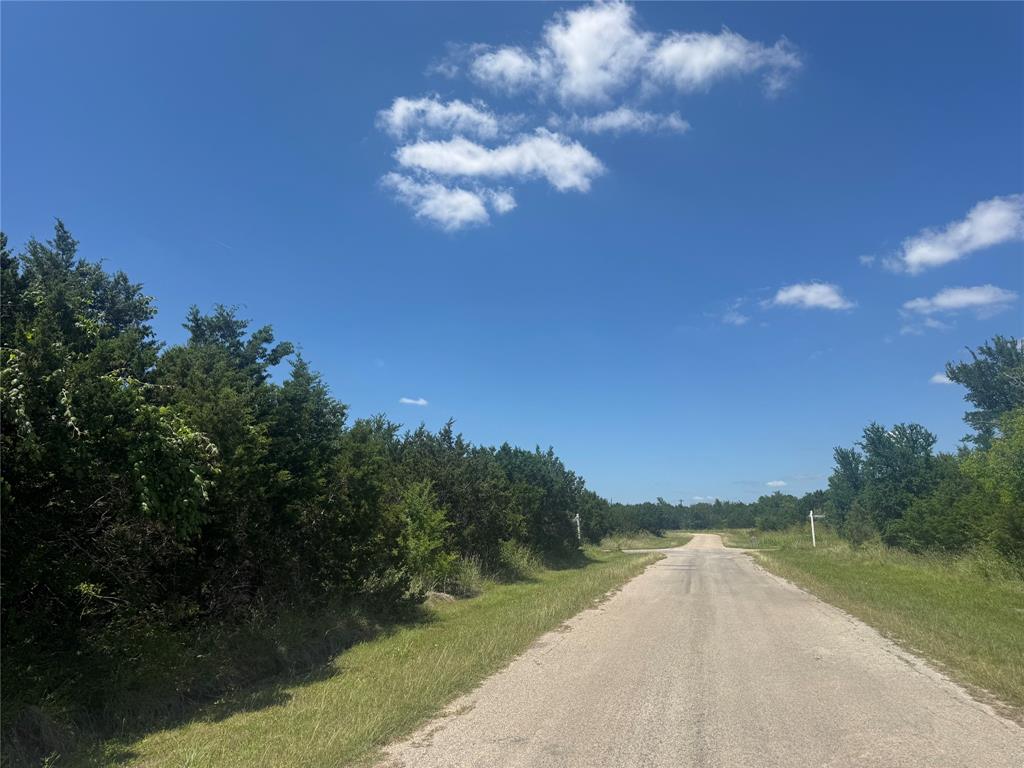 36059 Cedar Ridge Drive Whitney, TX 76692 - Photo 3 of 6