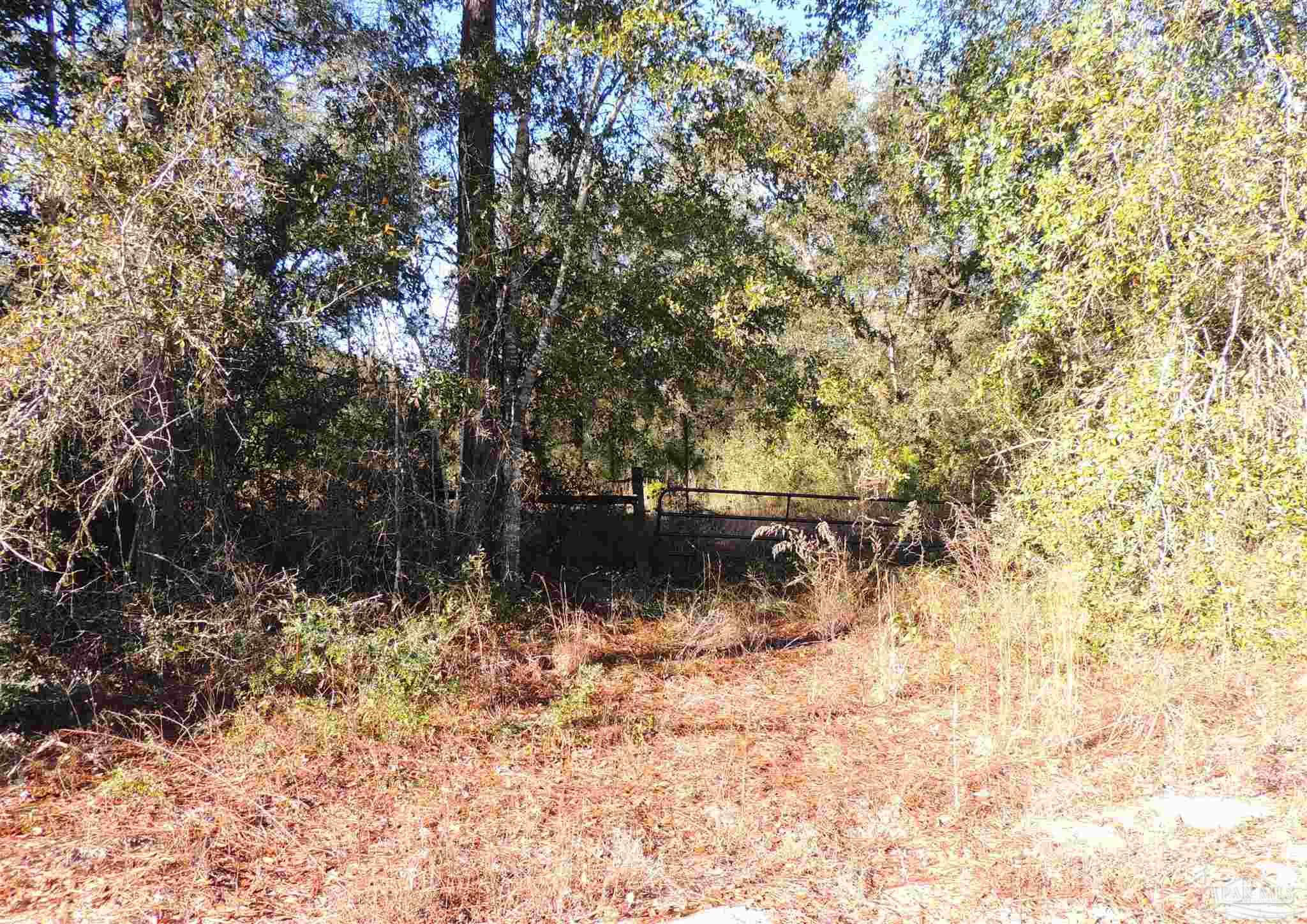 0 Pea Rdg Connector Road Pace, FL 32571 - Photo 6 of 10 a backyard of a house with lots of green space