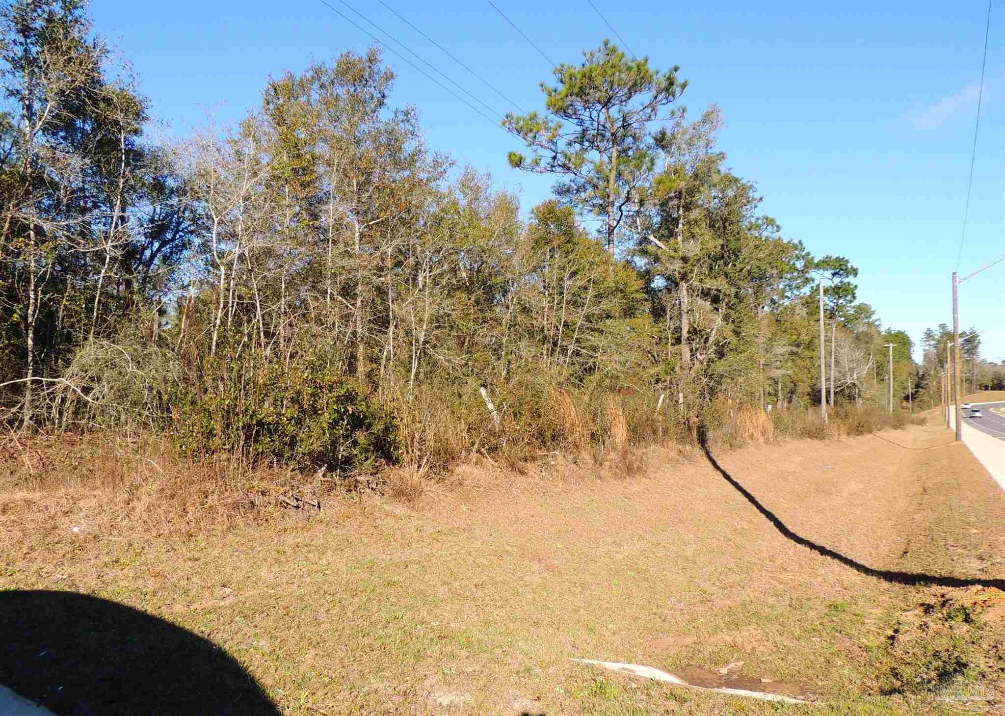 0 Pea Rdg Connector Road Pace, FL 32571 - Photo 7 of 10 a view of outdoor space and tree