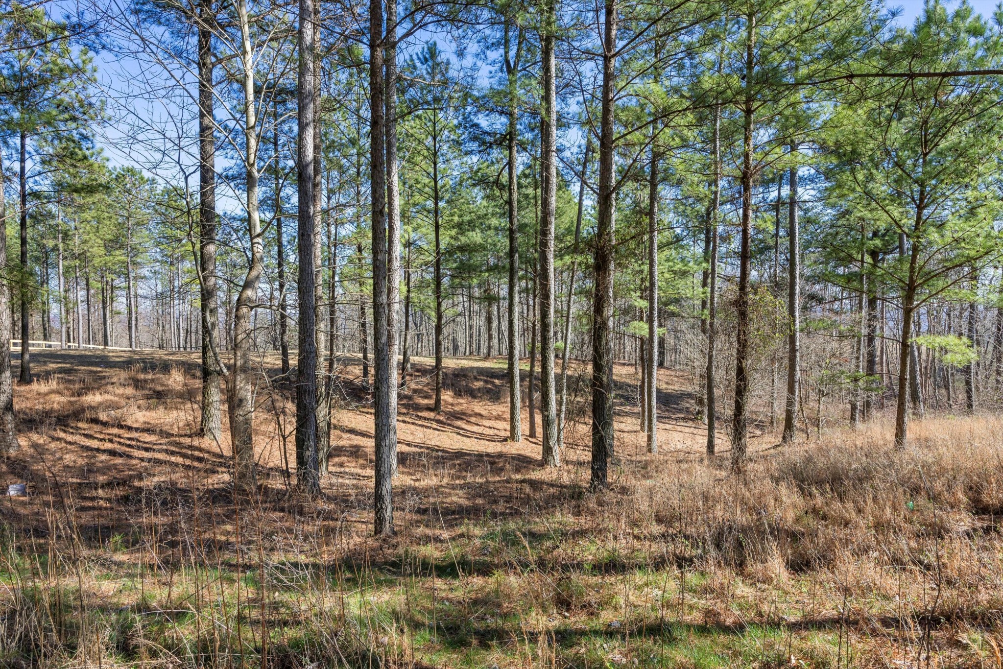 0 Prospectors Way Jasper, TN 37347 - Photo 3 of 18
