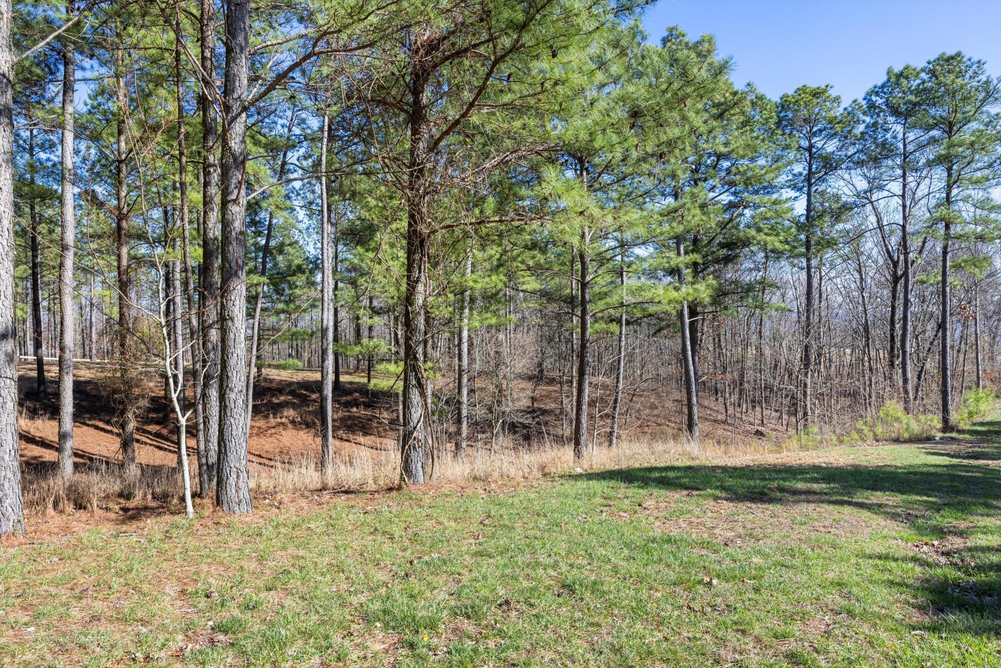 0 Prospectors Way Jasper, TN 37347 - Photo 5 of 18