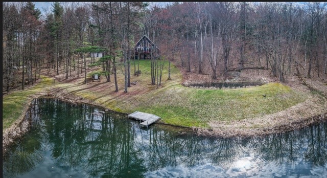 207 Pheasant Run Road Middlefield, NY 13326 - Photo 28 of 44 Panoramic view from the ponds
