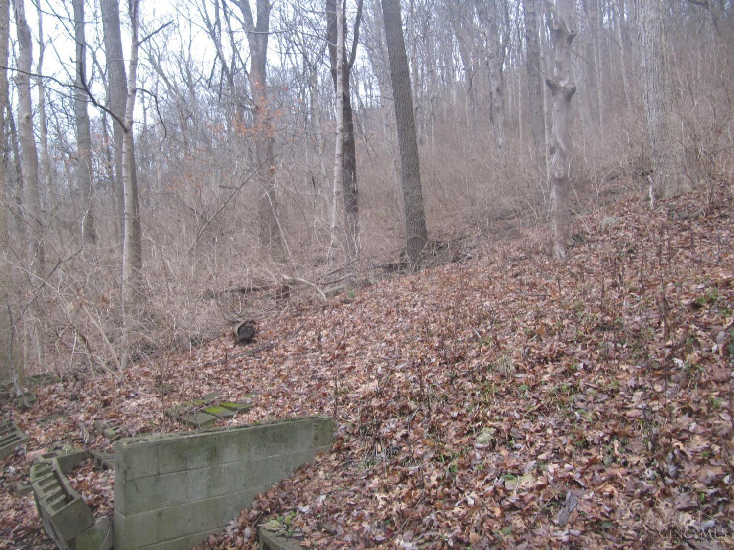 71 Anderson Ferry Road Cincinnati, OH 45238 - Photo 29 of 30 Gallery Image 29