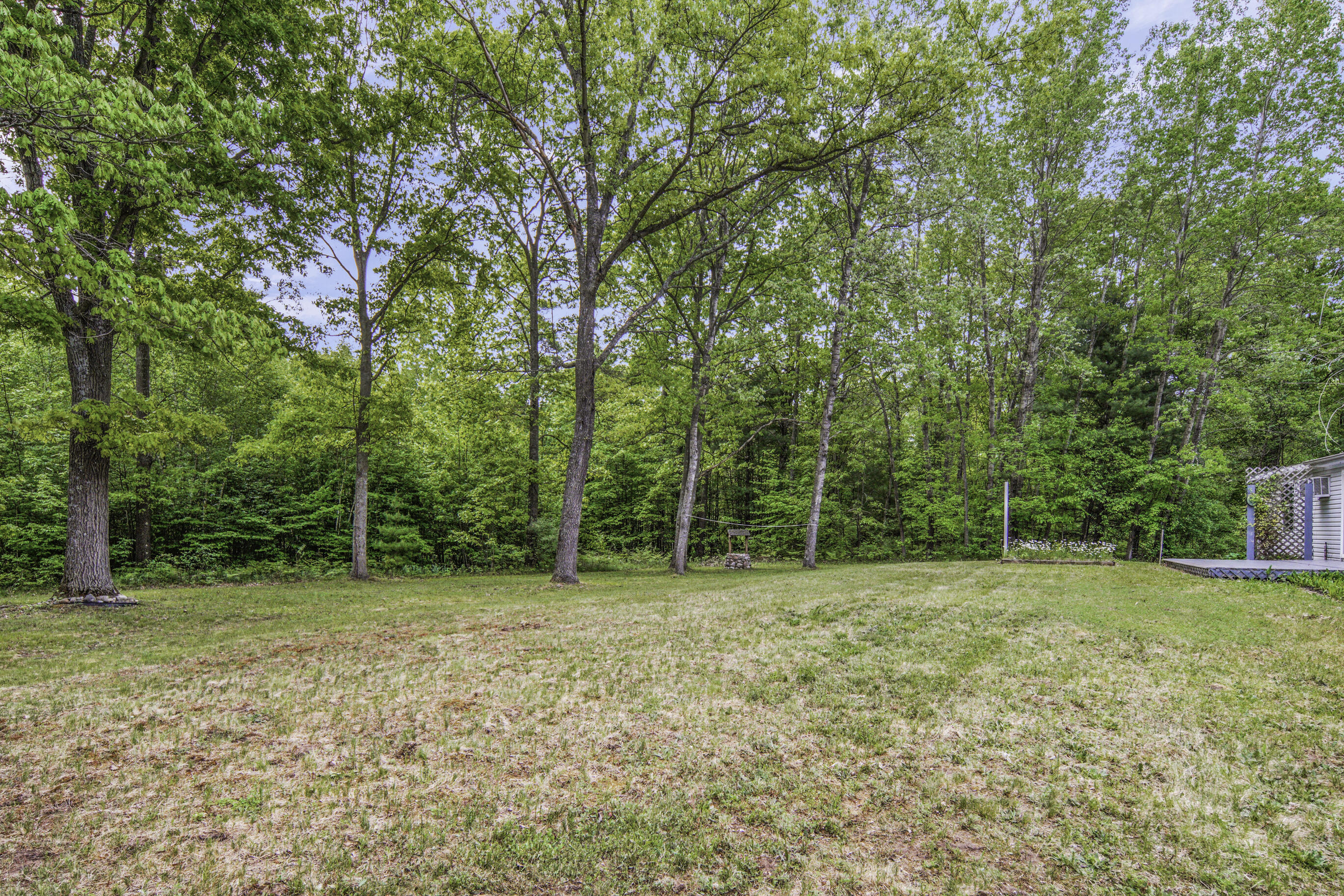 10658 Federal Road Howard City, MI 49329 - Photo 33 of 33 DSC03917