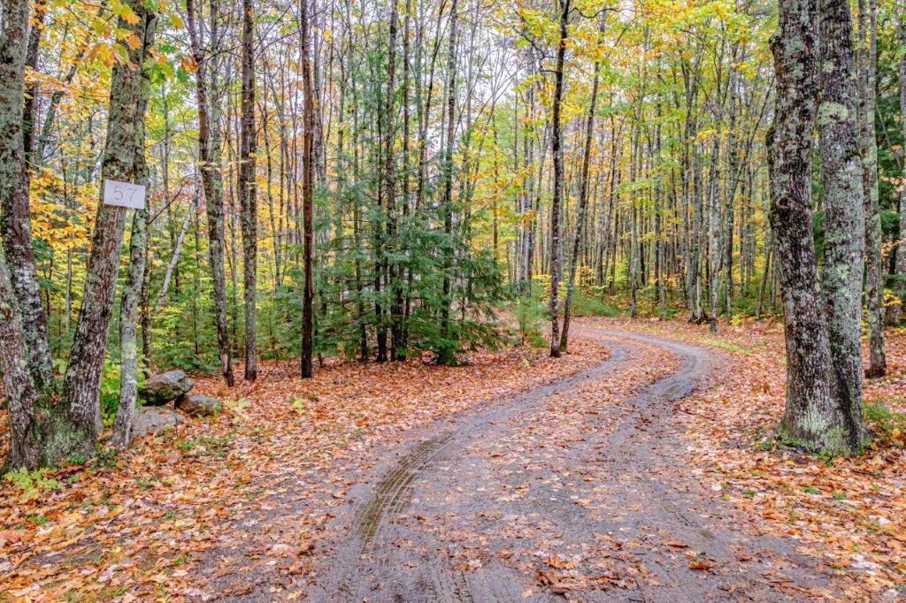 57 Lewis Road Naples, ME 04055 - Photo 2 of 45 20211025gp-60001