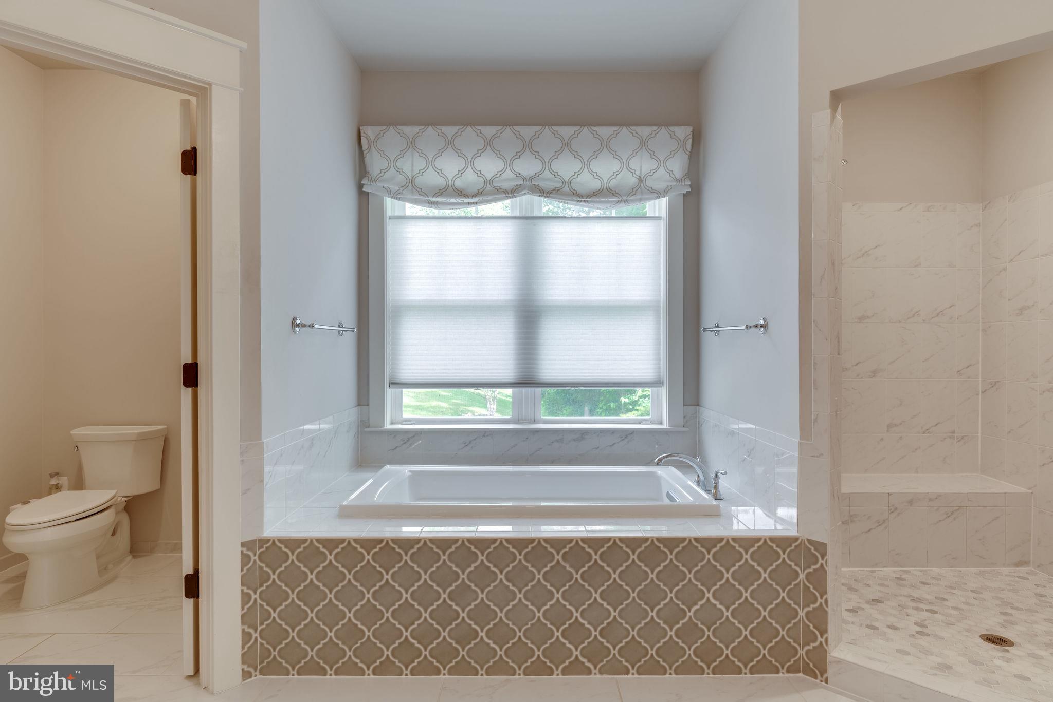 14524 Lightner Road Haymarket, VA 20169 - Photo 27 of 78 Master Bath w/ Separate Tub & Shower