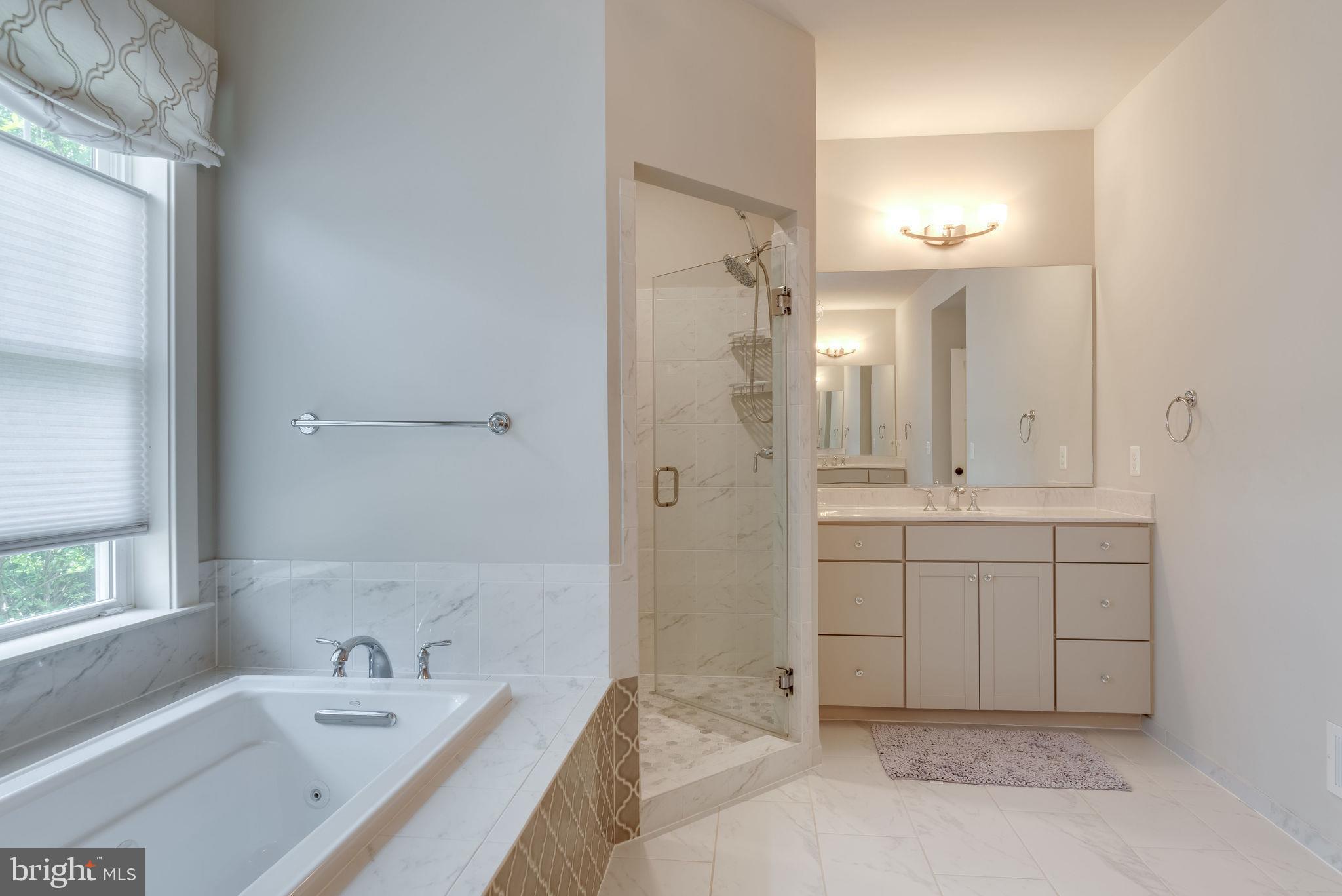 14524 Lightner Road Haymarket, VA 20169 - Photo 28 of 78 Master Bath w/ Separate Tub & Shower