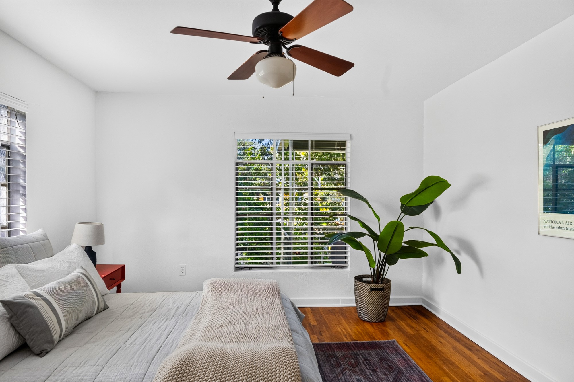 1302 Kirkwood Road, Unit B Austin, TX 78722 - Photo 14 of 21 Well-lit primary bedroom featuring polished hardwood flooring and a functional ceiling fan.