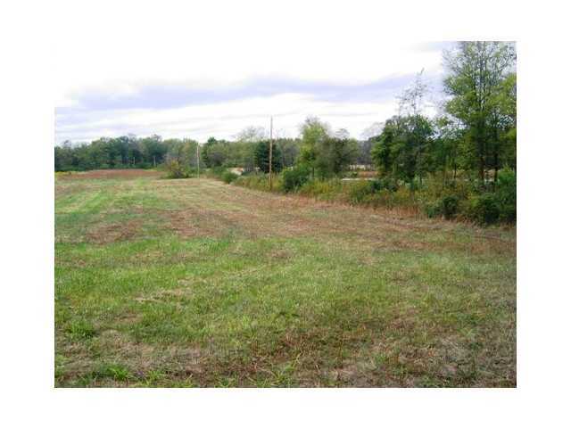 0 Curren Road Prospect, OH 43342 - Photo 13 of 15