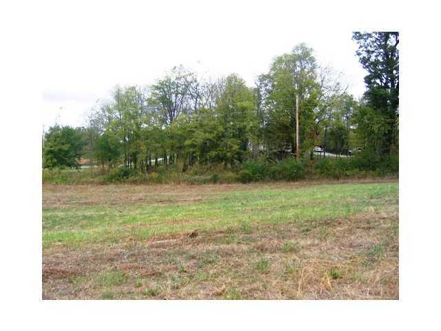 0 Curren Road Prospect, OH 43342 - Photo 2 of 15