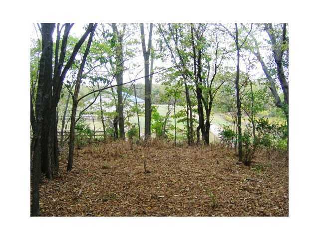 0 Curren Road Prospect, OH 43342 - Photo 5 of 15