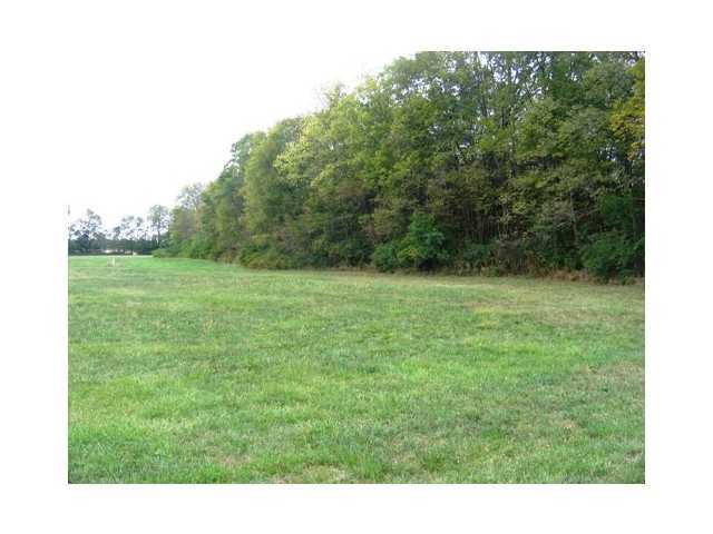 0 Curren Road Prospect, OH 43342 - Photo 8 of 15