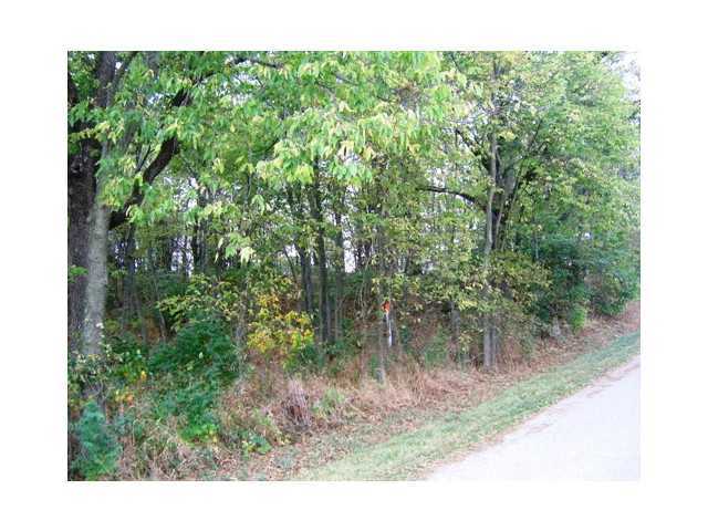 0 Curren Road Prospect, OH 43342 - Photo 10 of 15