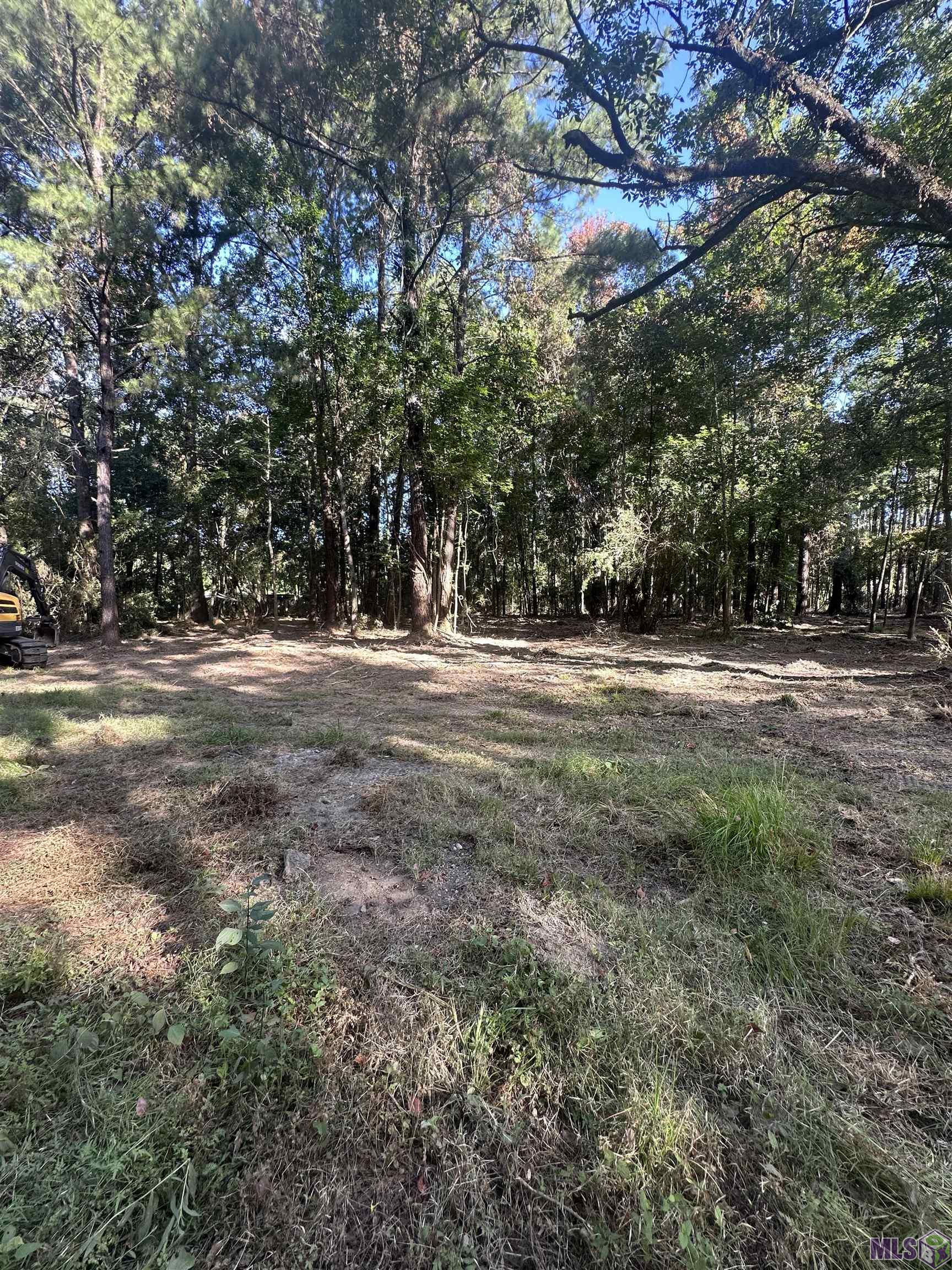 Lot A-2 Lot A-2 Scott Barr Road Slaughter, LA 70777 - Photo 1 of 25 Gallery Image 1