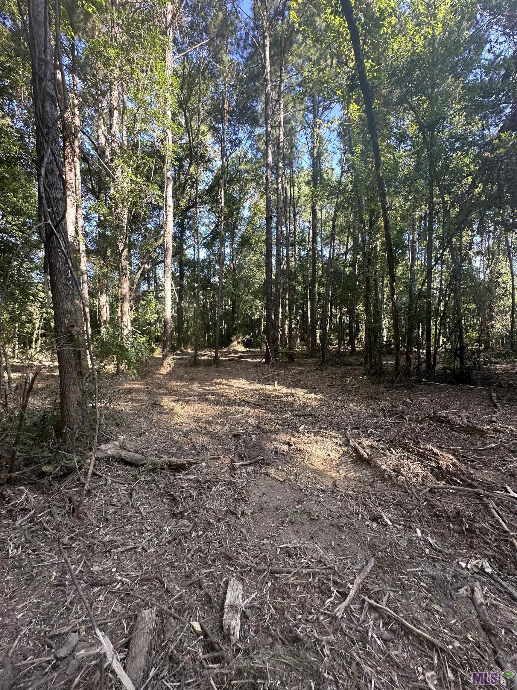 Lot A-2 Lot A-2 Scott Barr Road Slaughter, LA 70777 - Photo 11 of 25 Gallery Image 11