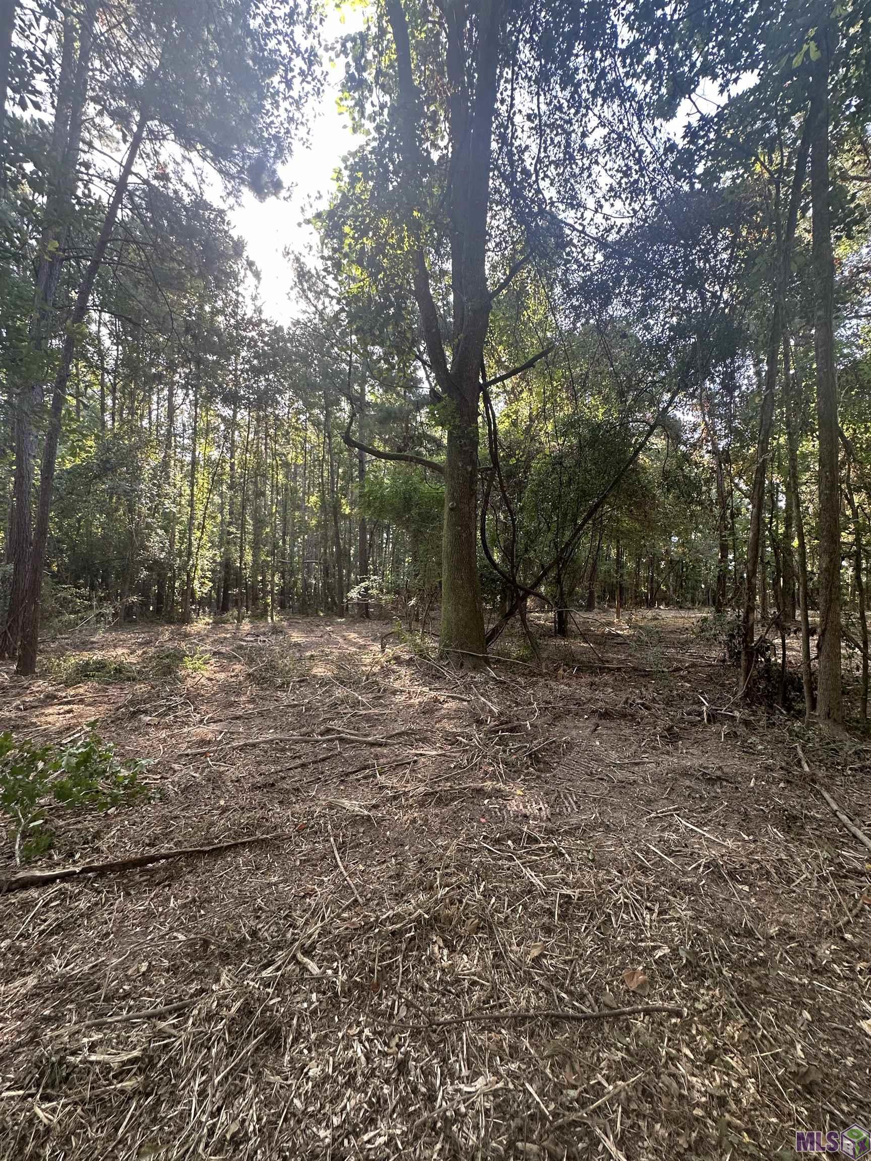 Lot A-2 Lot A-2 Scott Barr Road Slaughter, LA 70777 - Photo 13 of 25 Gallery Image 13