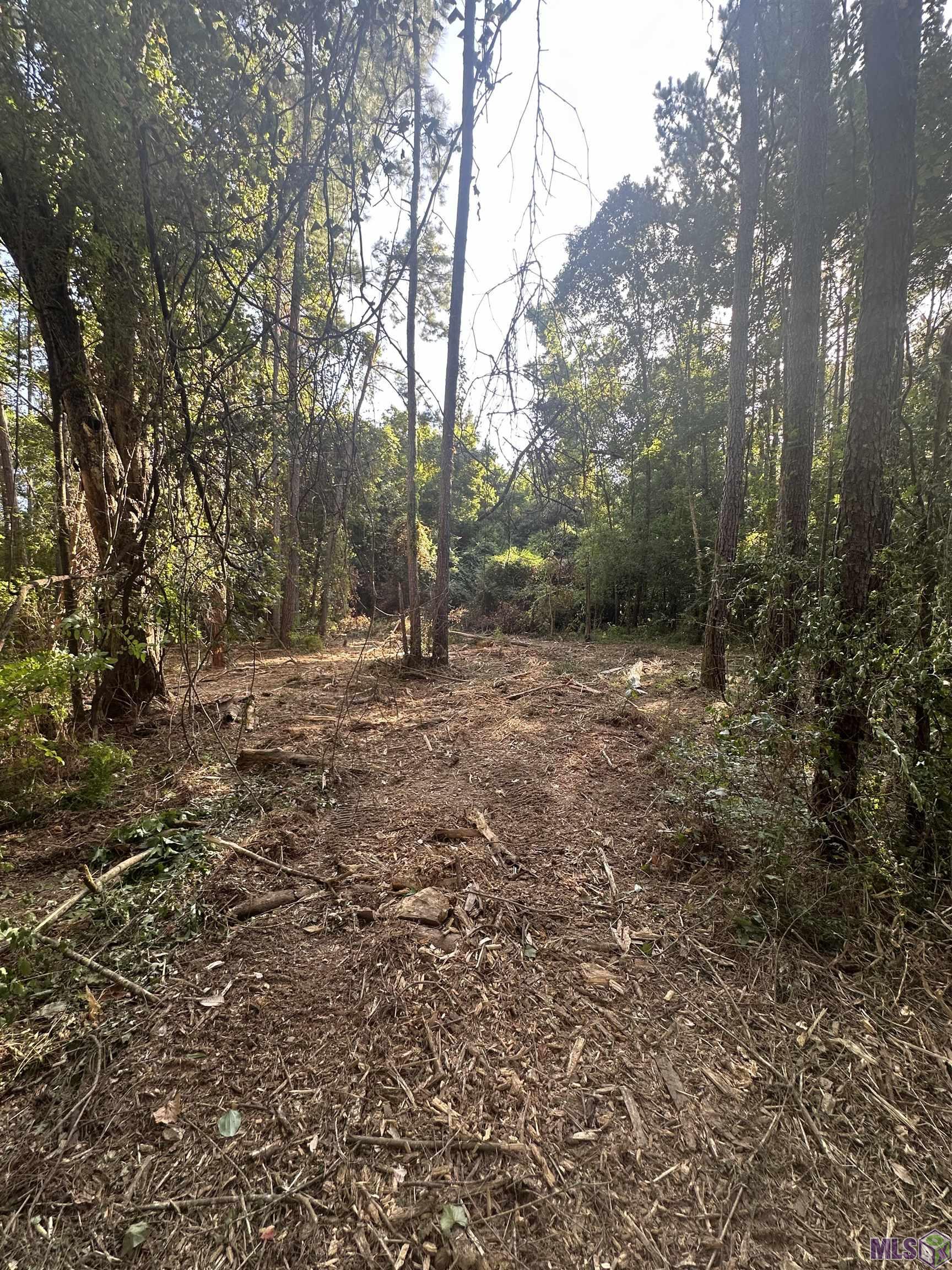 Lot A-2 Lot A-2 Scott Barr Road Slaughter, LA 70777 - Photo 14 of 25 Gallery Image 14