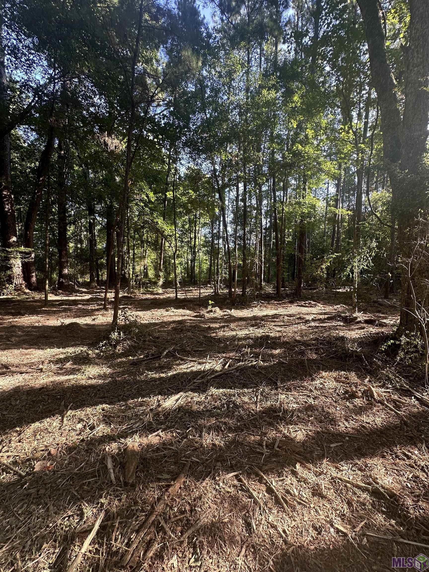 Lot A-2 Lot A-2 Scott Barr Road Slaughter, LA 70777 - Photo 15 of 25 Gallery Image 15