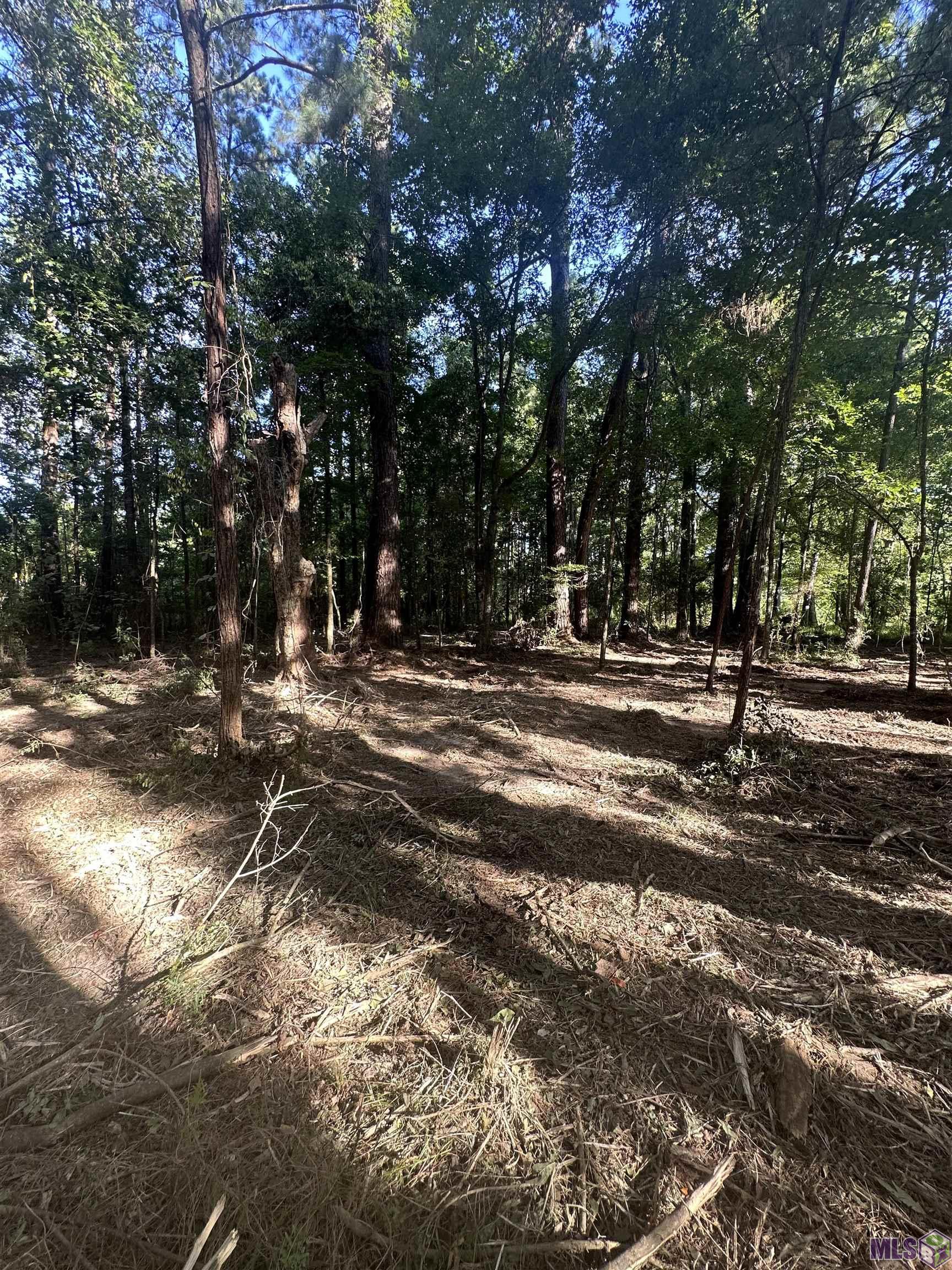 Lot A-2 Lot A-2 Scott Barr Road Slaughter, LA 70777 - Photo 16 of 25 Gallery Image 16