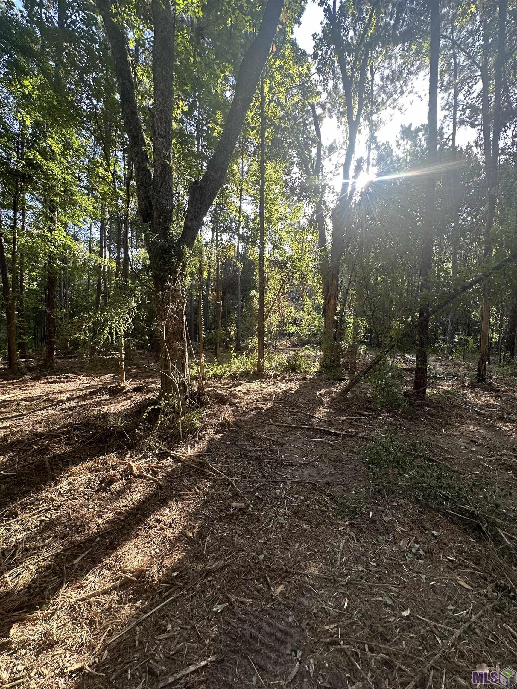 Lot A-2 Lot A-2 Scott Barr Road Slaughter, LA 70777 - Photo 17 of 25 Gallery Image 17