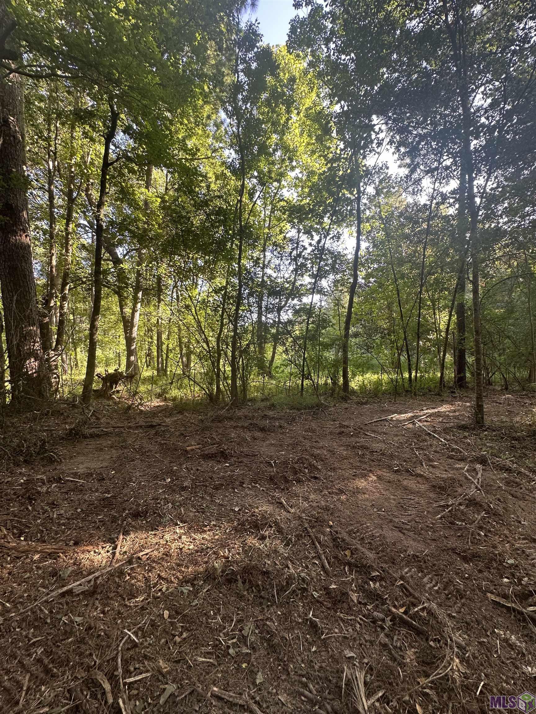 Lot A-2 Lot A-2 Scott Barr Road Slaughter, LA 70777 - Photo 19 of 25 Gallery Image 19