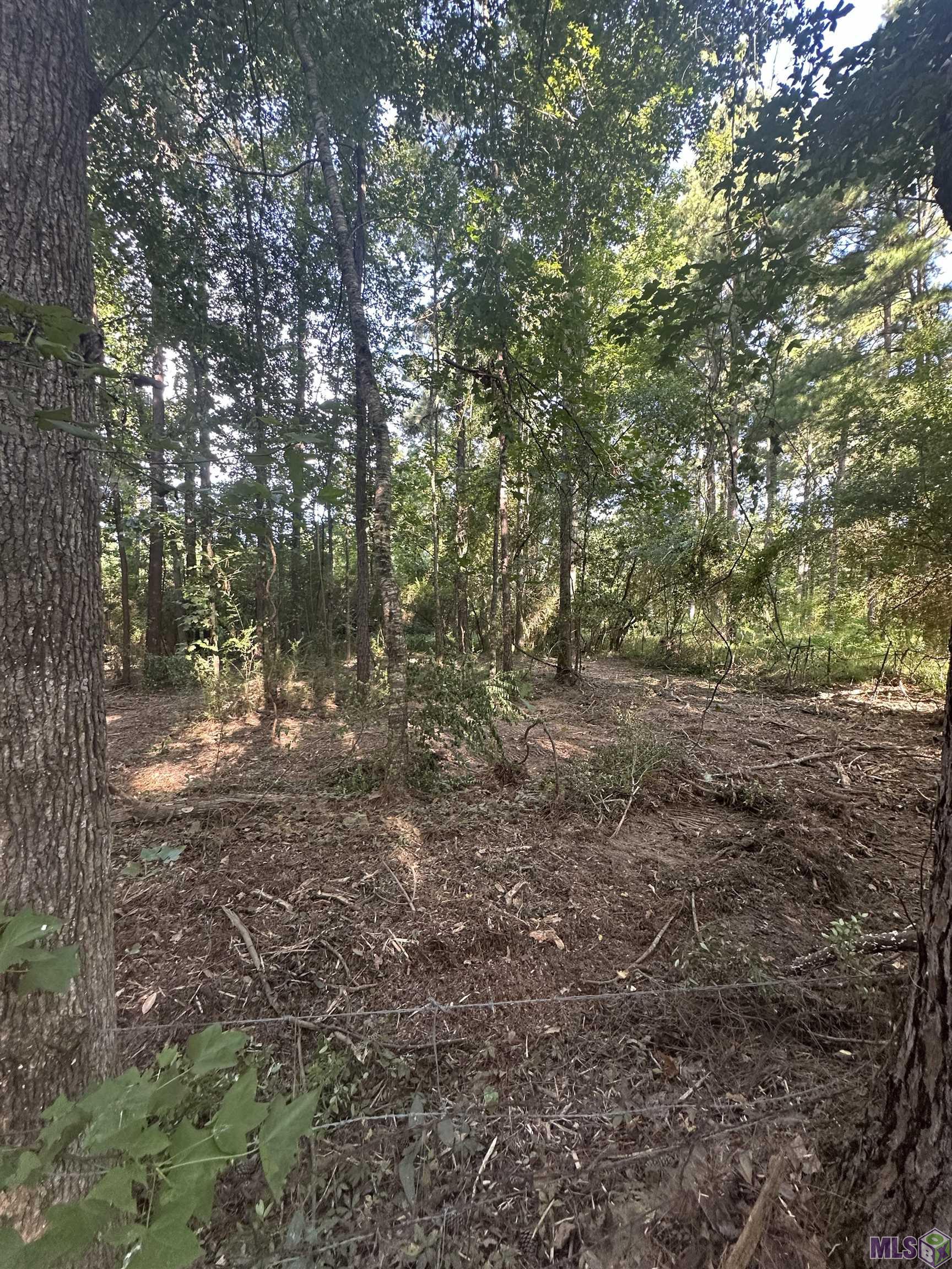 Lot A-2 Lot A-2 Scott Barr Road Slaughter, LA 70777 - Photo 20 of 25 Gallery Image 20