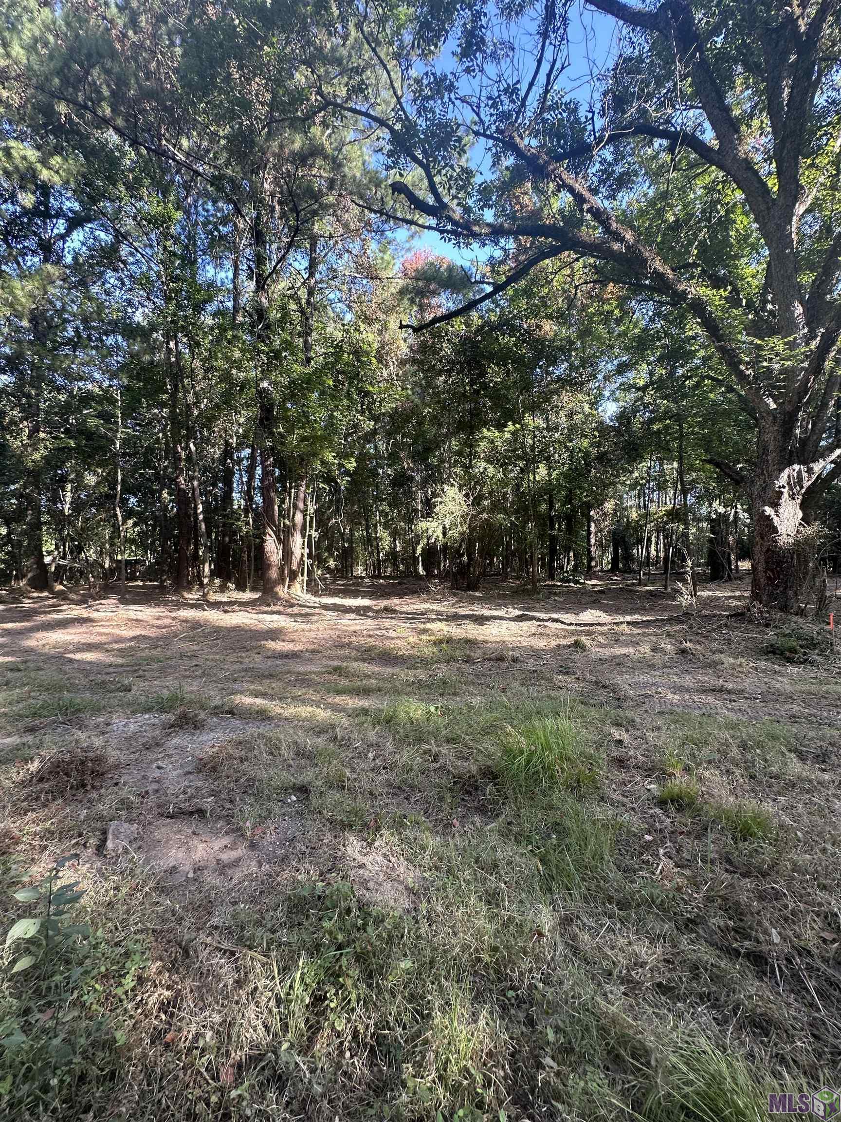 Lot A-2 Lot A-2 Scott Barr Road Slaughter, LA 70777 - Photo 2 of 25 Gallery Image 2