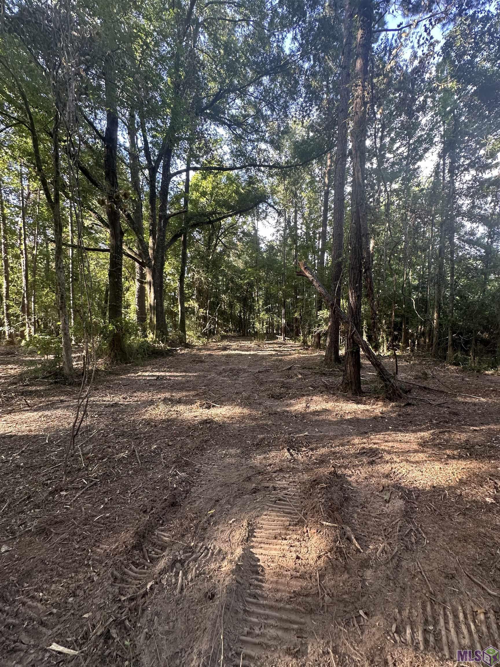 Lot A-2 Lot A-2 Scott Barr Road Slaughter, LA 70777 - Photo 21 of 25 Gallery Image 21